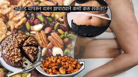 Walnuts Recipe For Weight Loss To get Perfect Body Inches and Kilos Five Low Calories Sweets Recipe Cakes at Home health news