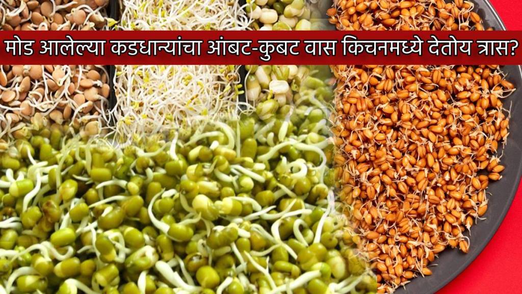 Marathi Kitchen Tips How To Keep Sprouts Fresh Moong Chana Pungent Bad Smell In Kitchen Remedies To Keep Air Fresh