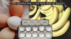 एका डझनमध्ये फक्त १२ अंडी किंवा केळी का असतात? १० किंवा १५ का नाही? कारण जाणून व्हाल थक्क
