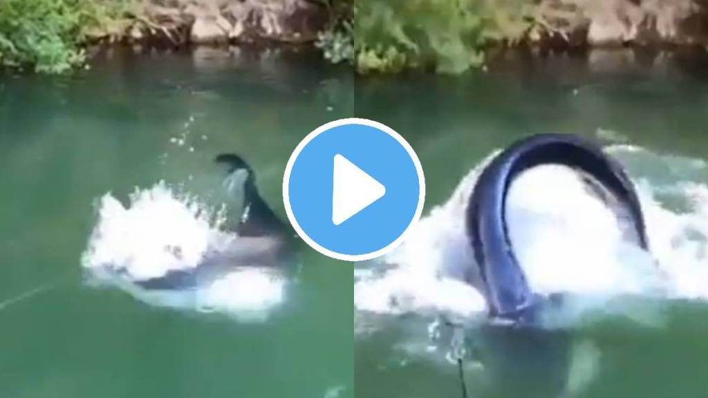 fishing scary video viral