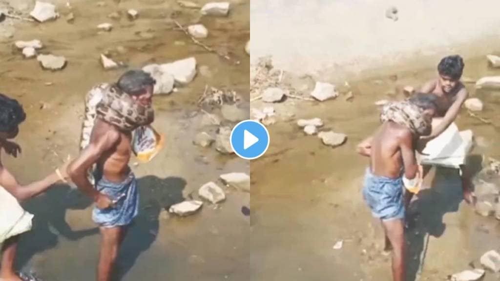 Giant python encircles old mans neck video viral Giant python encircles old mans neck video viral