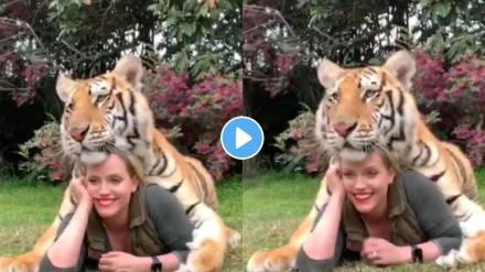 woman gave pose with tiger for photoshoot woman gave pose with tiger for photoshoot