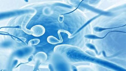Male fertility tips