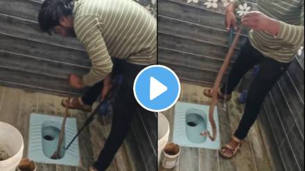king cobra hide in desi toilet video viral