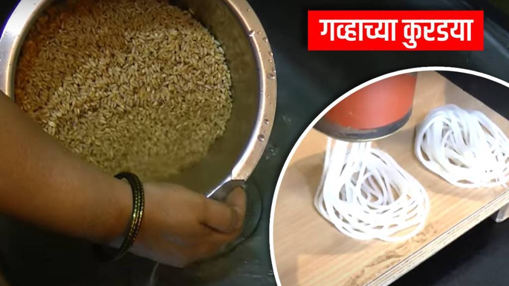 summer special gavhachya kurdaya summer special gavhachya kurdaya