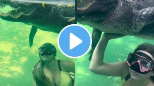 Bikini Girl Swims With Crocodile