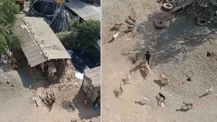 residents disturb barking dog breeding center thakurli