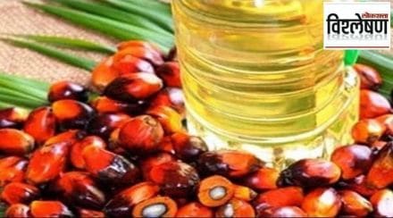 edible oil