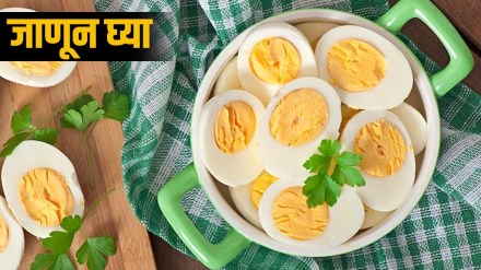eggs-veg-or-nonveg