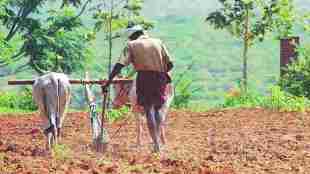 farming