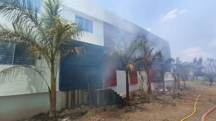 fir in Fertilizer factory