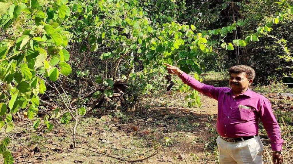 pune ayurveda forest