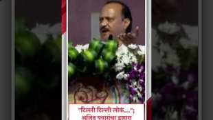 "टिल्ली टिल्ली लोकं..."; अजित पवारांचा इशारा नेमका कोणाकडे? | Ajit Pawar