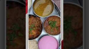 Where does the word veg non veg come from