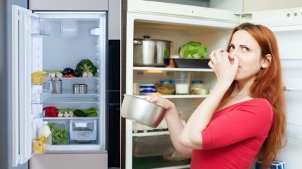 fridge maintenance