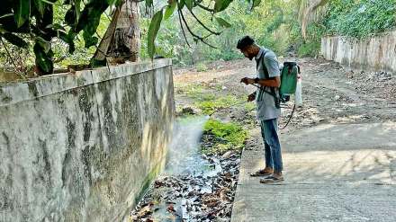 purchase of pesticides in palghar municipal council