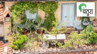 water soluble fertilizers life giving for the trees