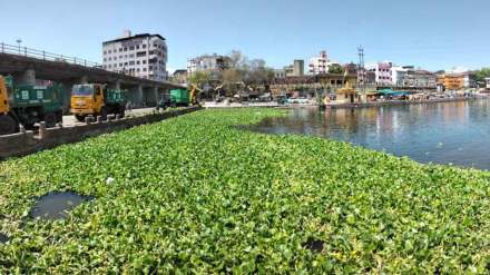 rivers including godavari getting polluted