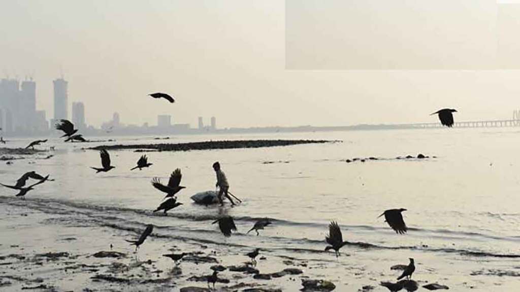 oceanic minerals oceanic minerals