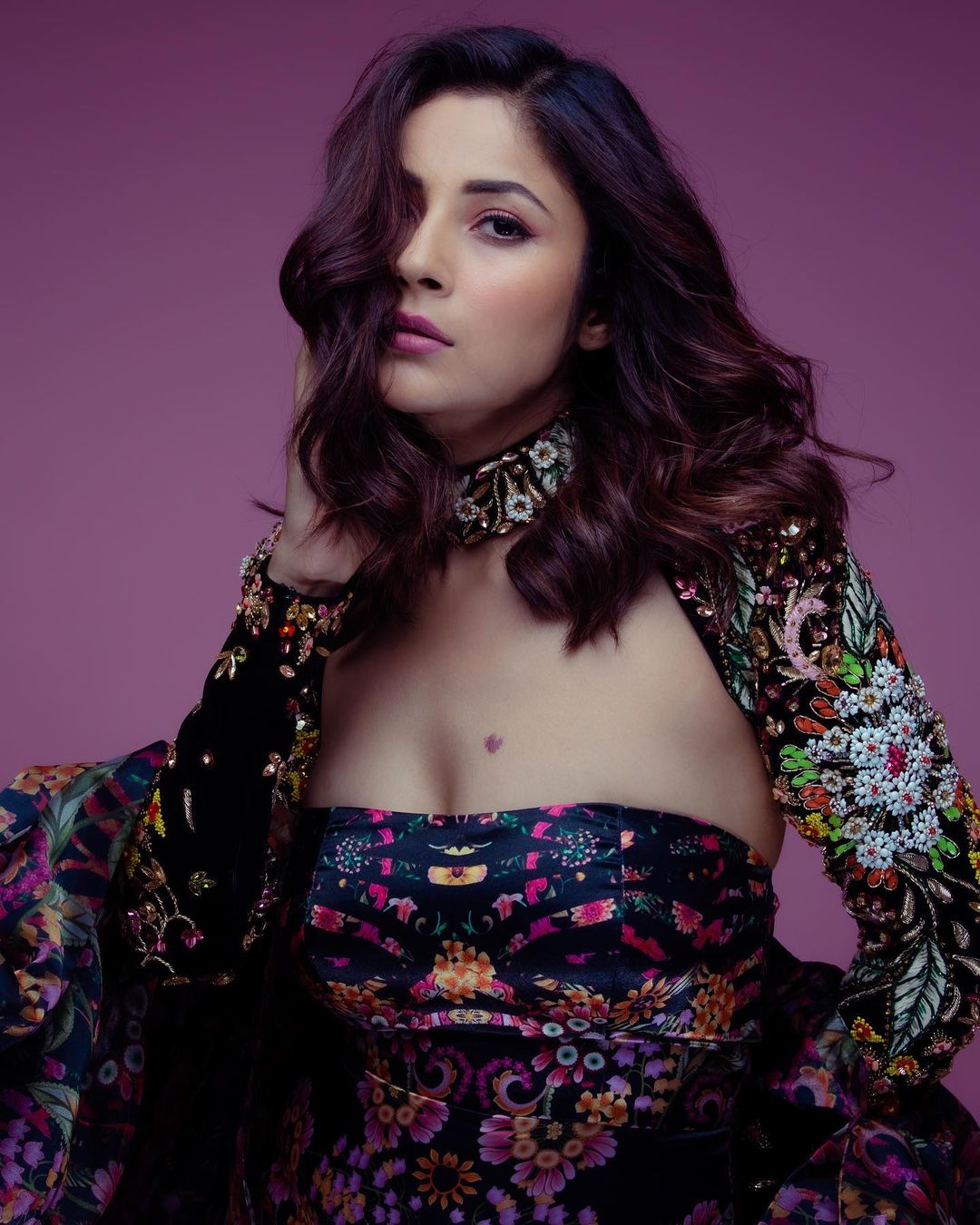shehnaazgill8
