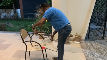 snake residence Rajendra Shingne