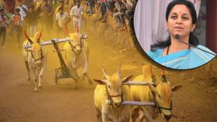 Supreme Court Permission to Bullock Cart Race