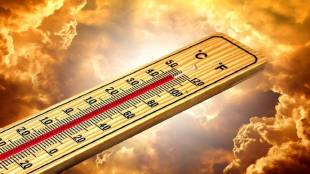 heatstroke in pets