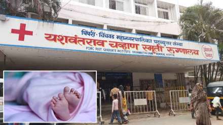 dead infant found in ycm hospital dustbin dead infant found in ycm hospital dustbin