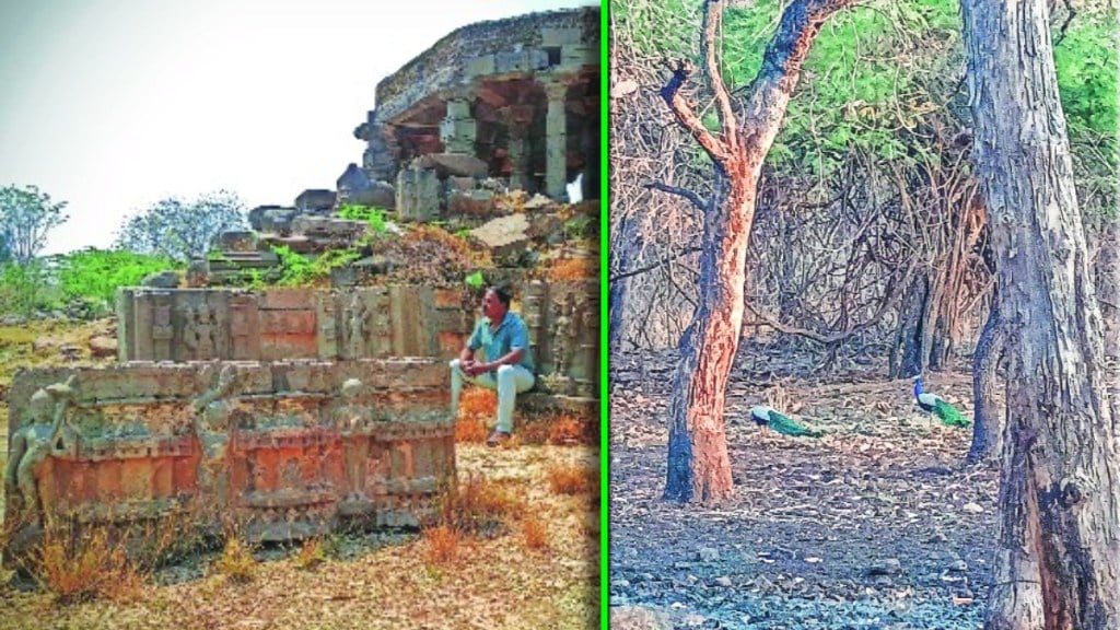 Ambajogai Shiwarferi