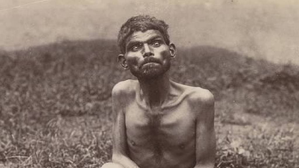 Who Was Dina Shanichar? Who Was Dina Shanichar?