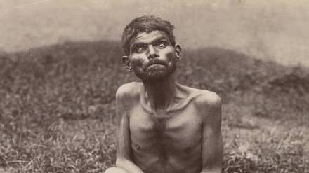 Who Was Dina Shanichar? Who Was Dina Shanichar?