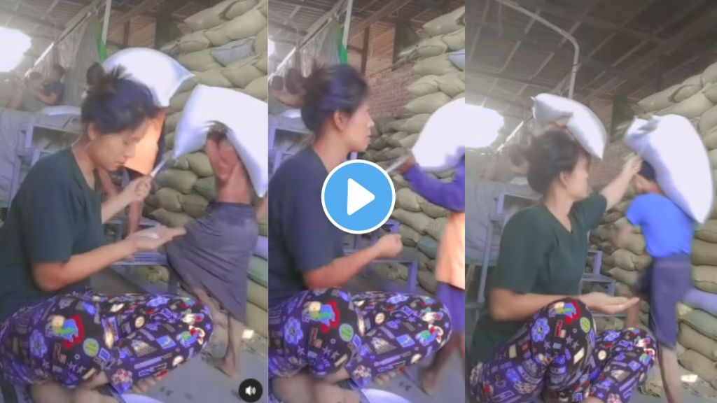 quality inspection of rice quality inspection of rice