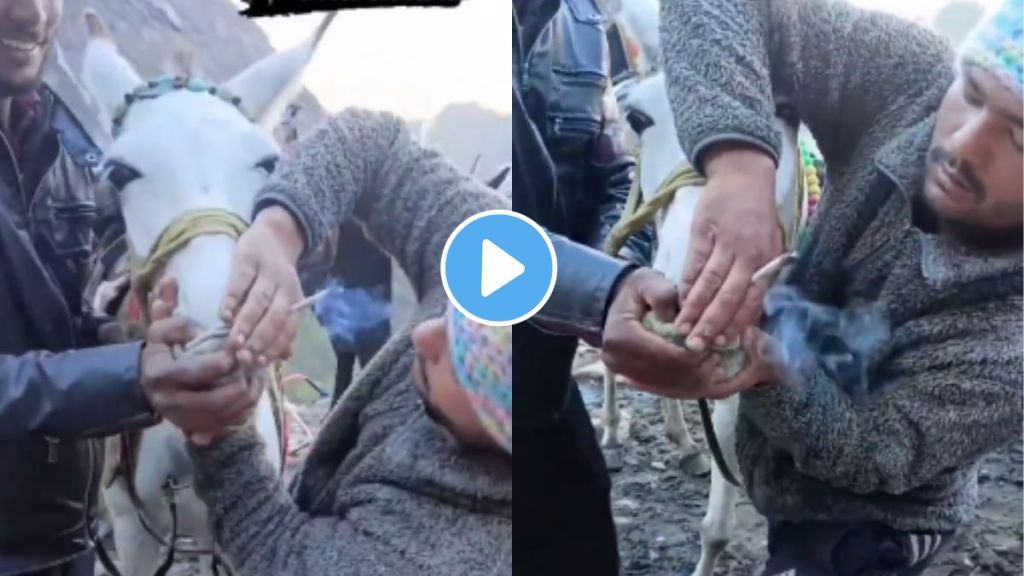 Kedarnath Horse Viral Video