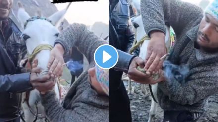 Kedarnath Horse Viral Video