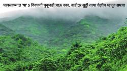 Monsoon Travel Tips : पावसाळ्यात ‘या’ पाच ठिकाणी चुकूनही जाऊ नका: नाही तर सुट्टी पाण्यात गेली म्हणून समजा