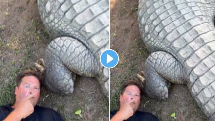 Man sleep with crocodile shocking video viral