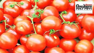 Why are tomatoes expensive