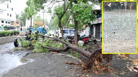 stormy winds Nashik