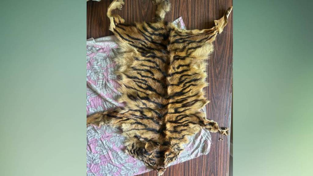 Tiger skin smuggling