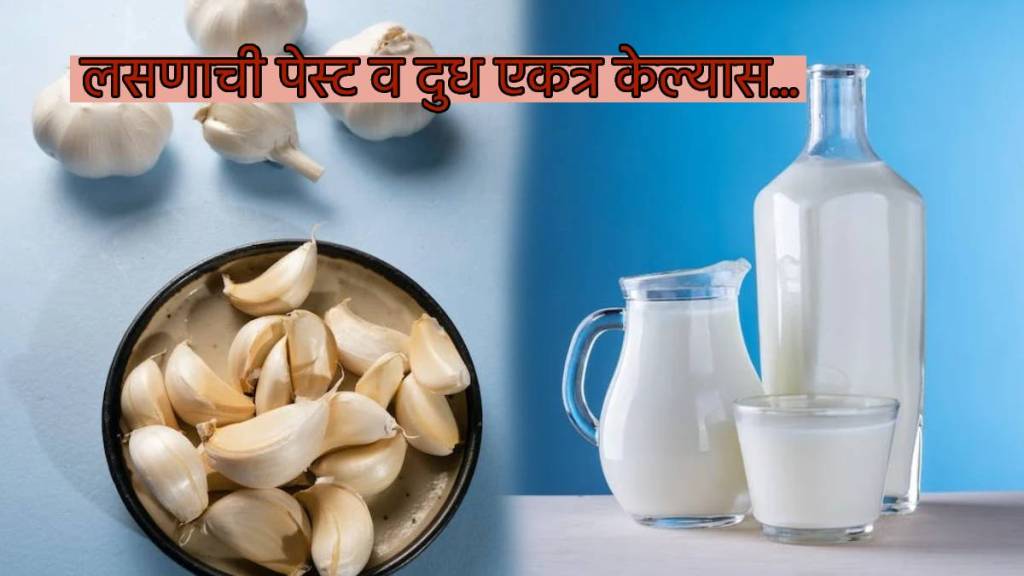 Garlic Paste Milk Ayurvedic Remedy To Give Relief From Bloating Gas Constipation Improve Immunity Health expert Answers