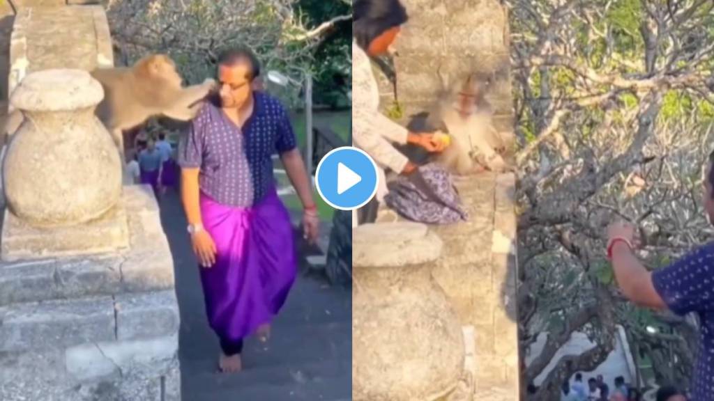 Video of monkey taking specks of a man goes viral Video of monkey taking specks of a man goes viral