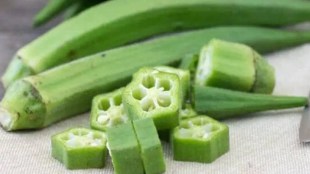 Okra