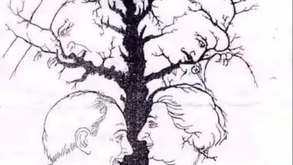 Optical Illusion Test