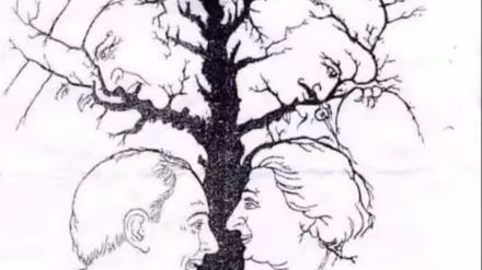 Optical Illusion Test