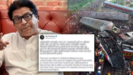 What Raj Thackeray Said? What Raj Thackeray Said?