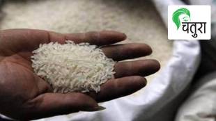 rice, perfect food, carbohydrates, nutrients