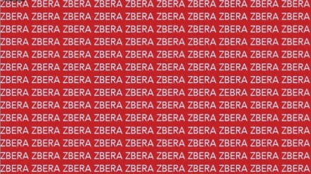 optical illusion find out zebra correct spelling puzzle photo optical illusion find out zebra correct spelling puzzle photo