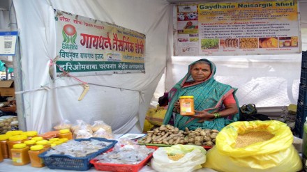 Shobhatai Gaidhane natural farming Shobhatai Gaidhane natural farming