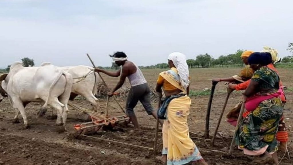Farmers Gondia rain Farmers Gondia rain