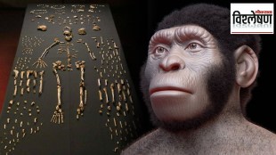 Homo Naledi buried their dead in Rising Star Cave south africa